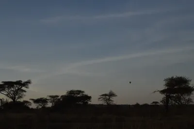 DSC_3745 (Large).JPG